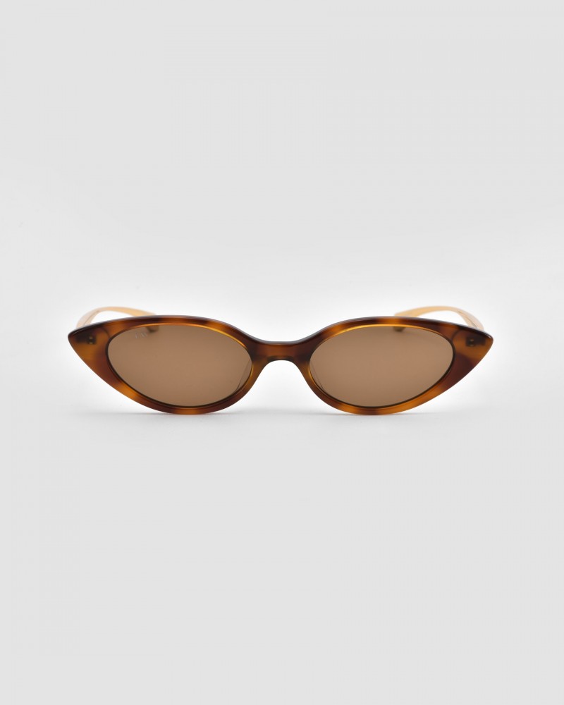 Slash (Tortoise)